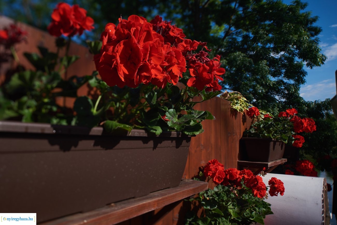 Sóstói csendélet 200528