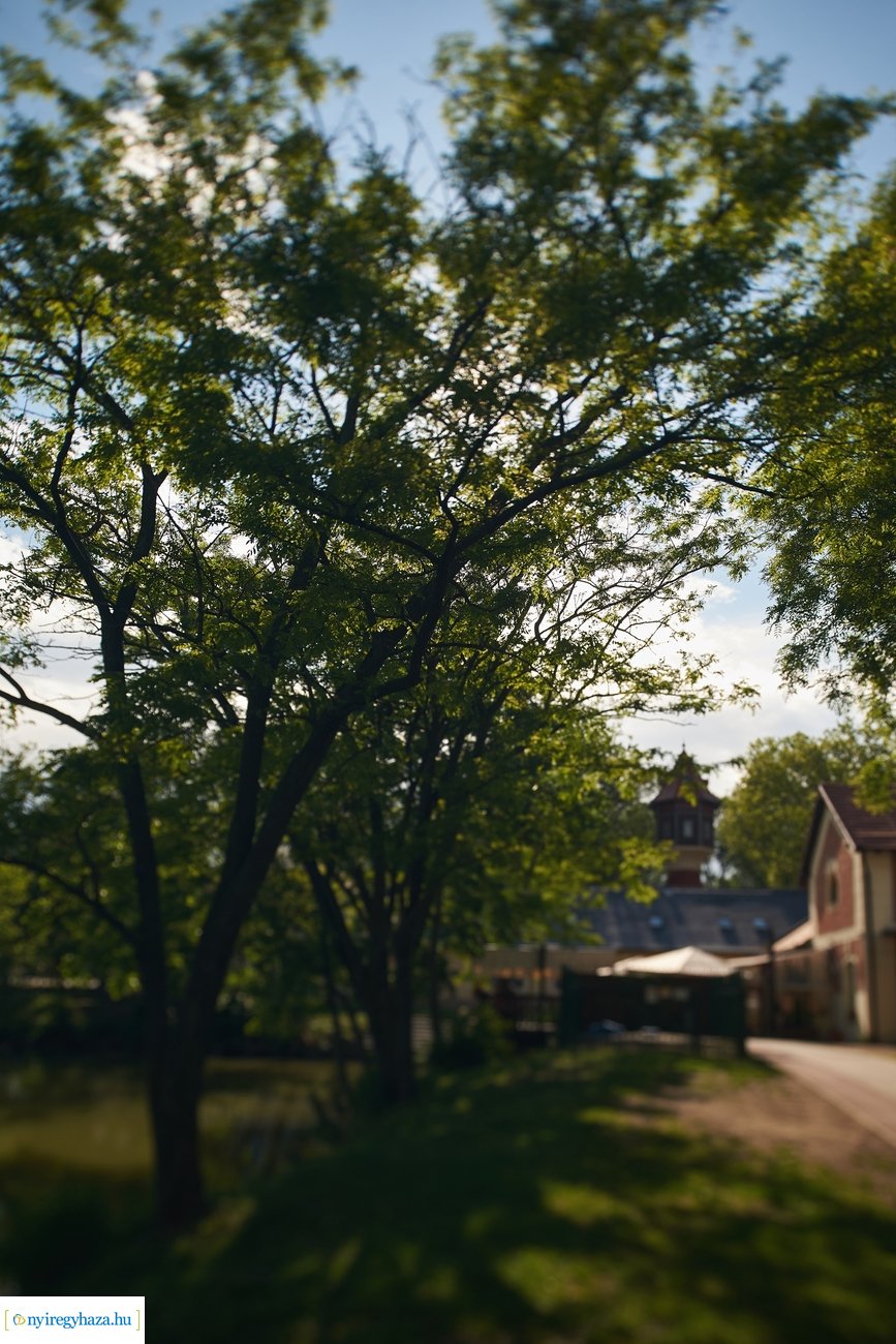 Sóstói csendélet 200528