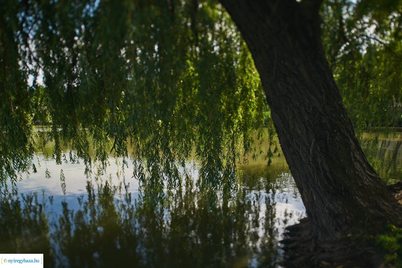 Sóstói csendélet 200528