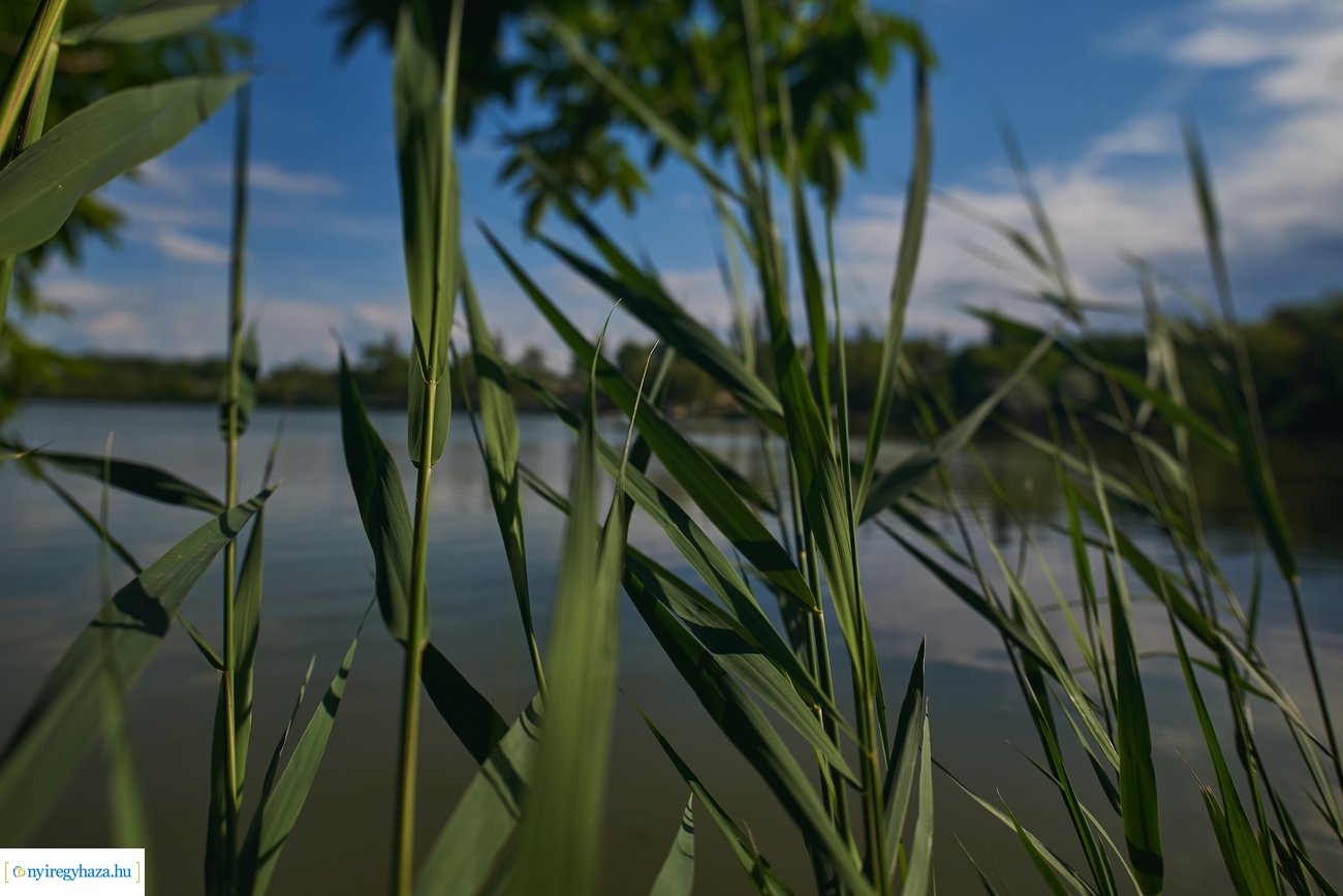 Sóstói csendélet 200528