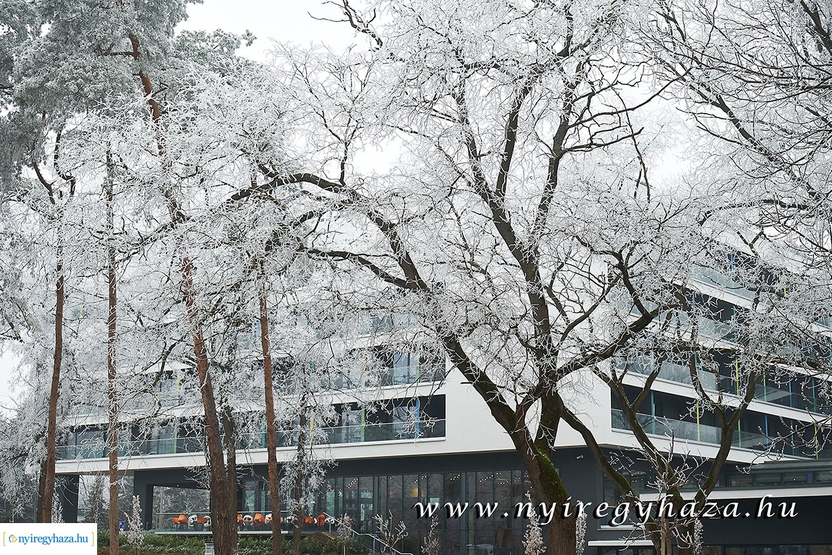 Sóstói csendélet - 20200119