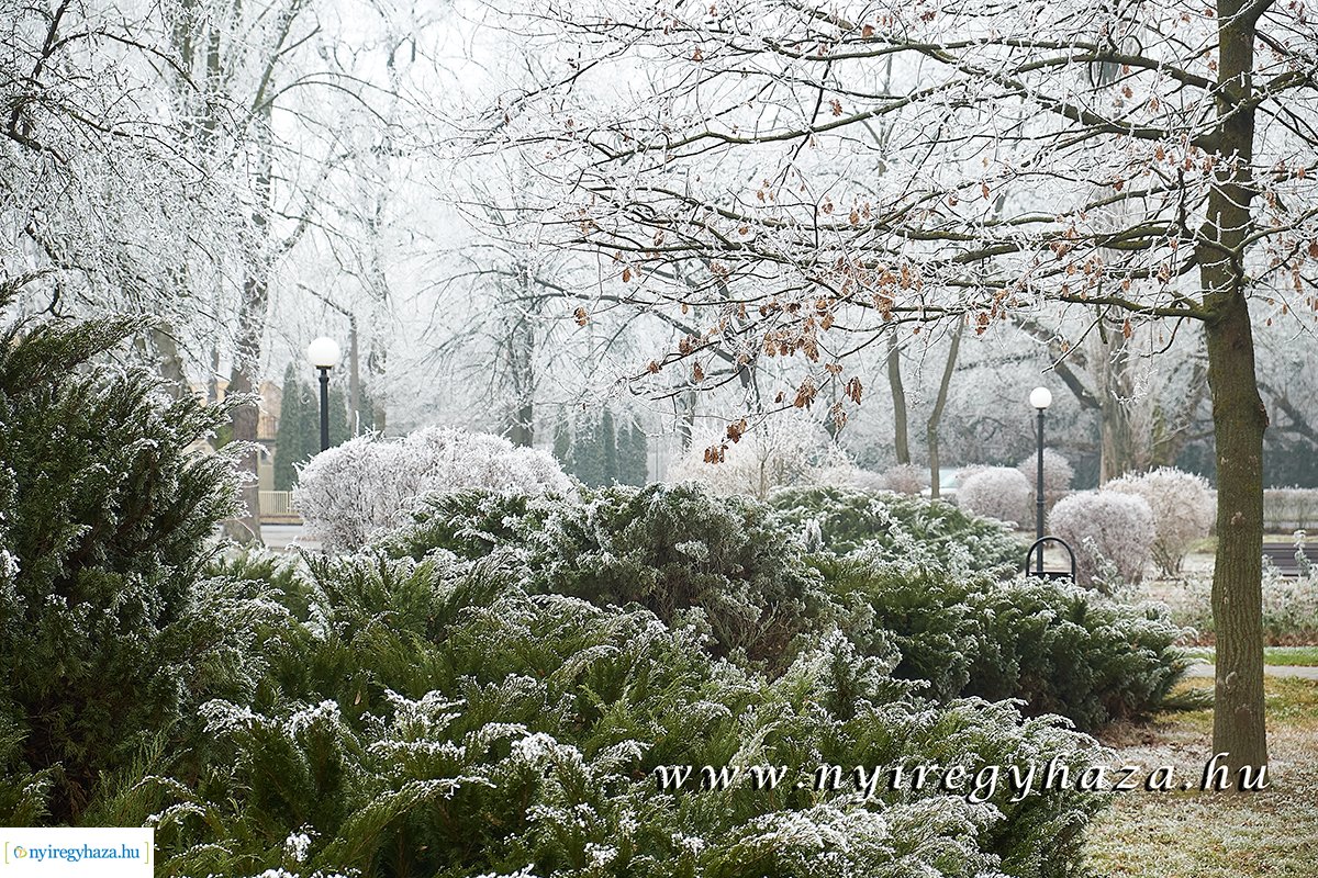 Sóstói csendélet - 20200119