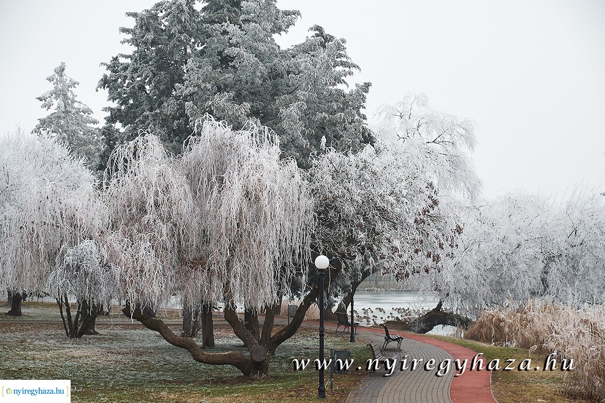 Sóstói csendélet - 20200119