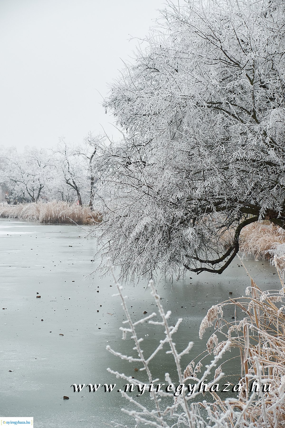 Sóstói csendélet - 20200119