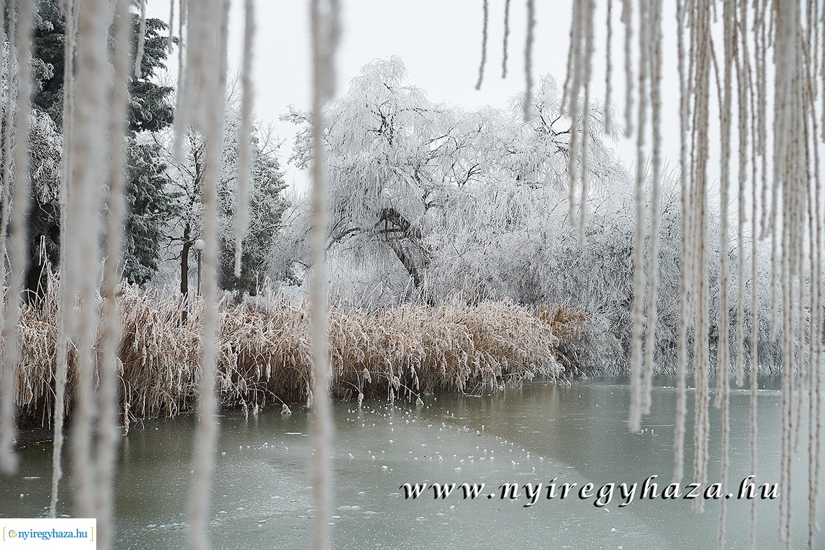 Sóstói csendélet - 20200119