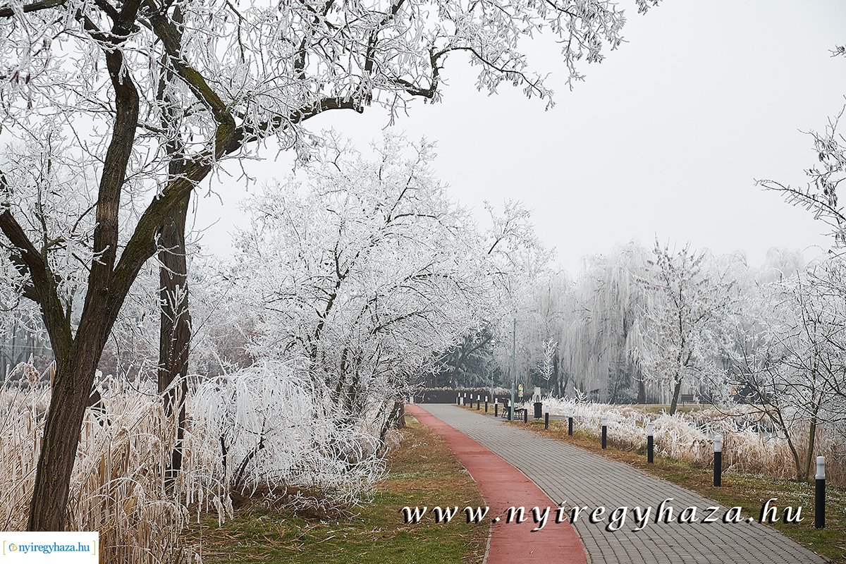 Sóstói csendélet - 20200119