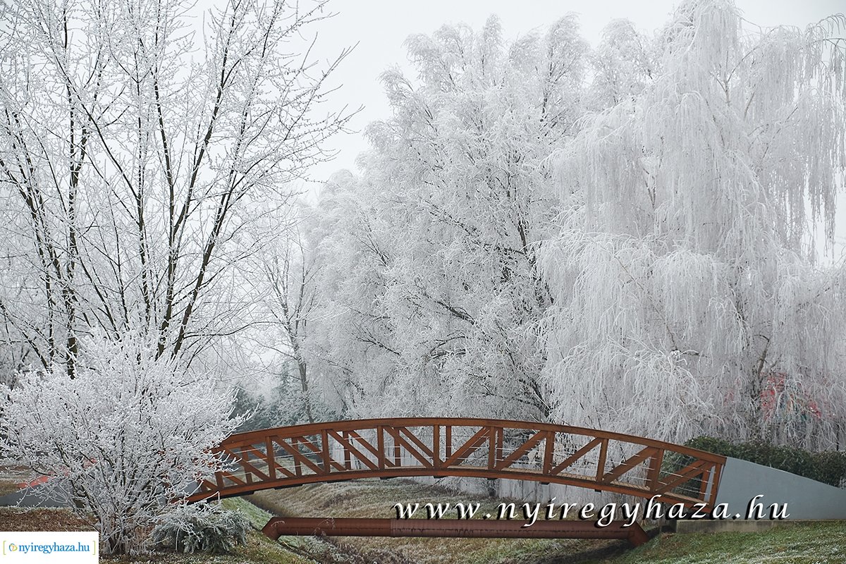 Sóstói csendélet - 20200119