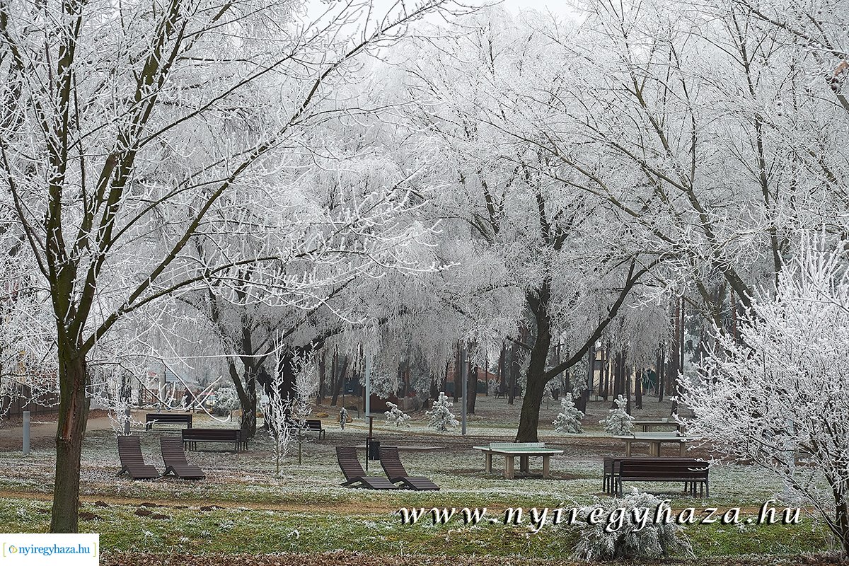 Sóstói csendélet - 20200119