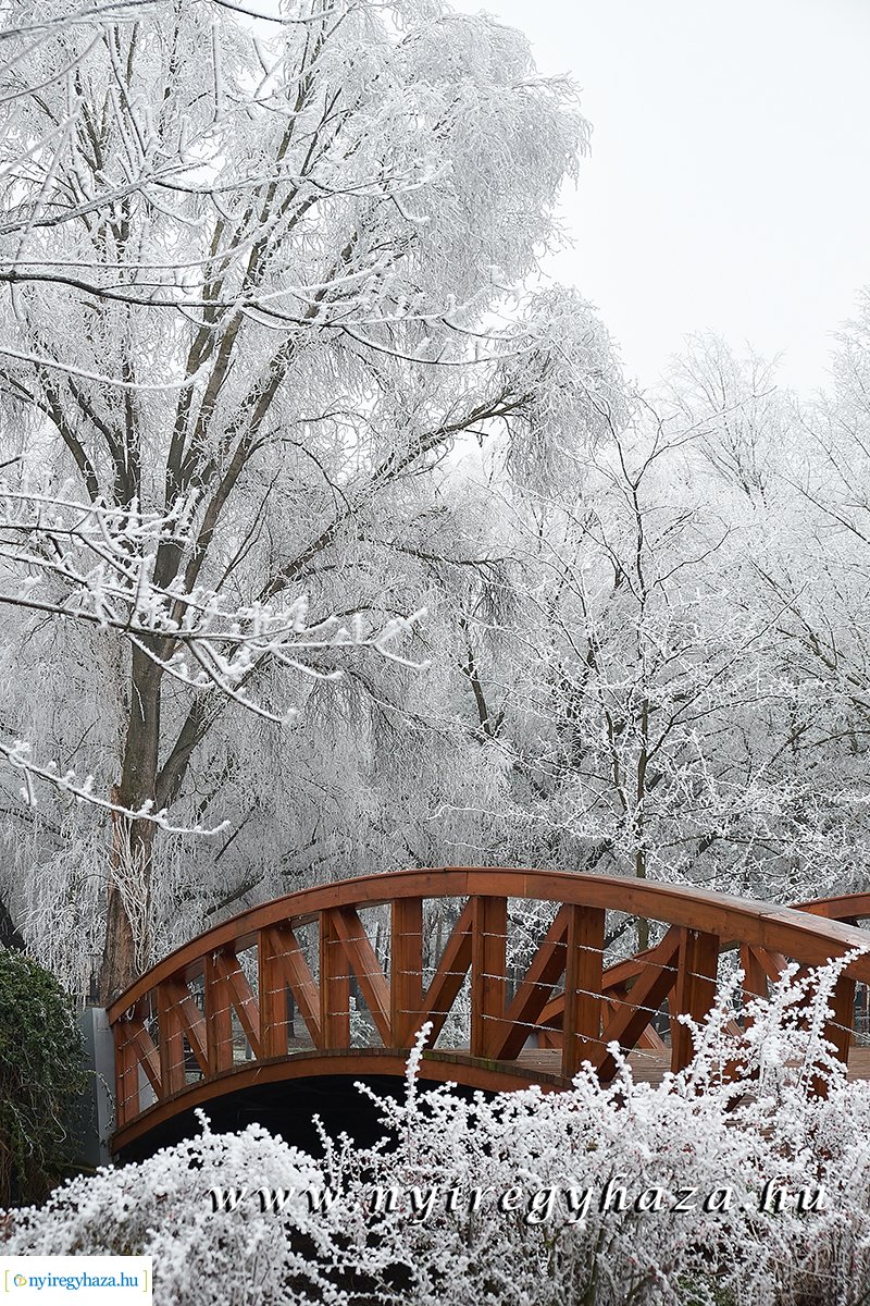 Sóstói csendélet - 20200119