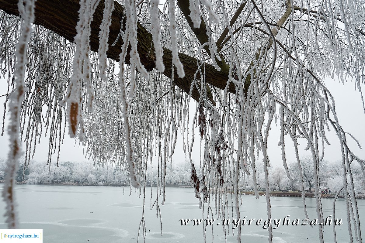 Sóstói csendélet - 20200119