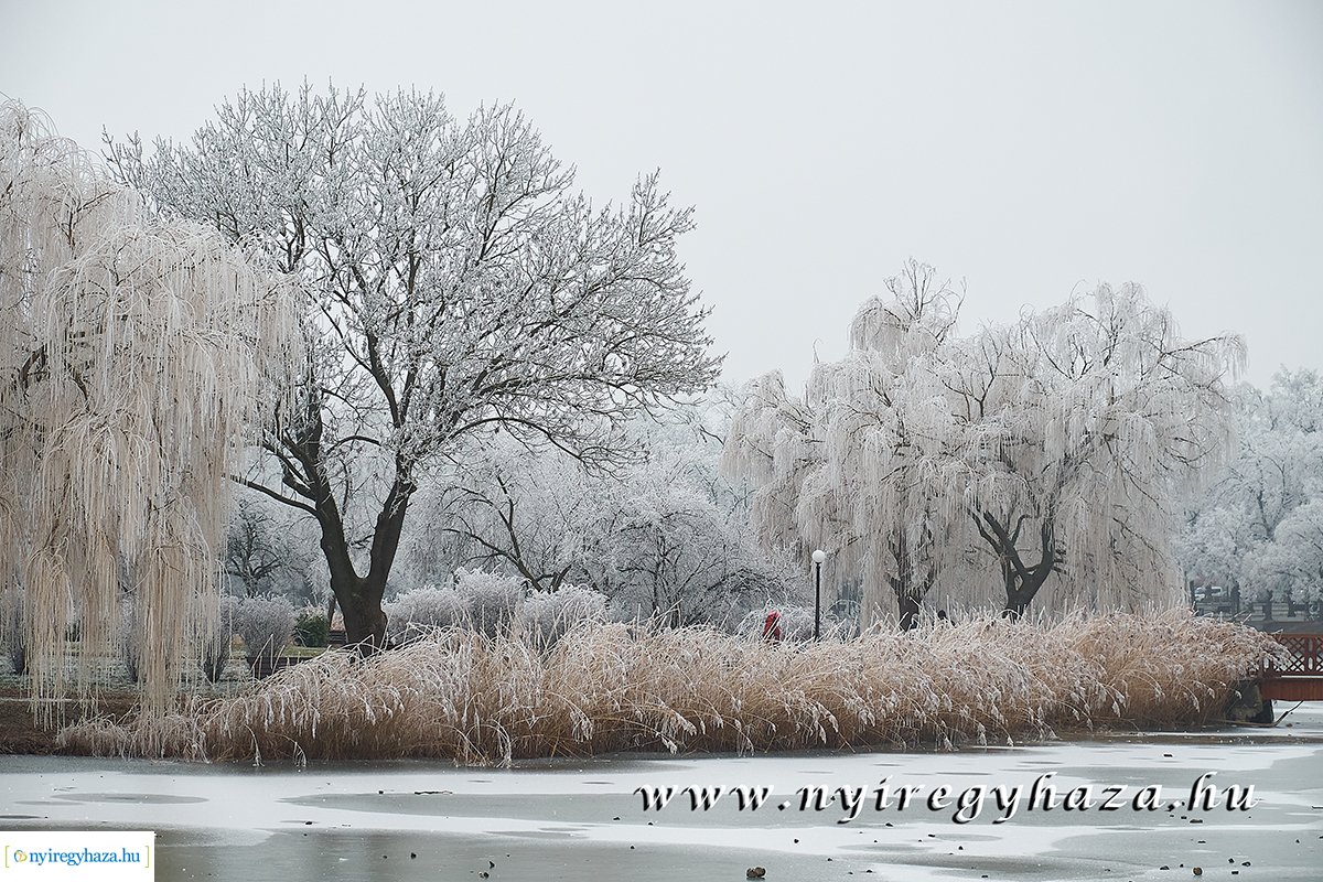 Sóstói csendélet - 20200119