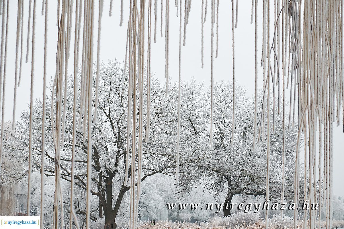 Sóstói csendélet - 20200119