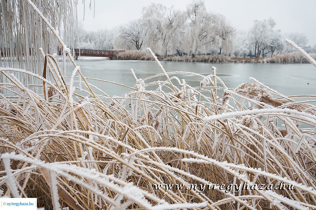 Sóstói csendélet - 20200119