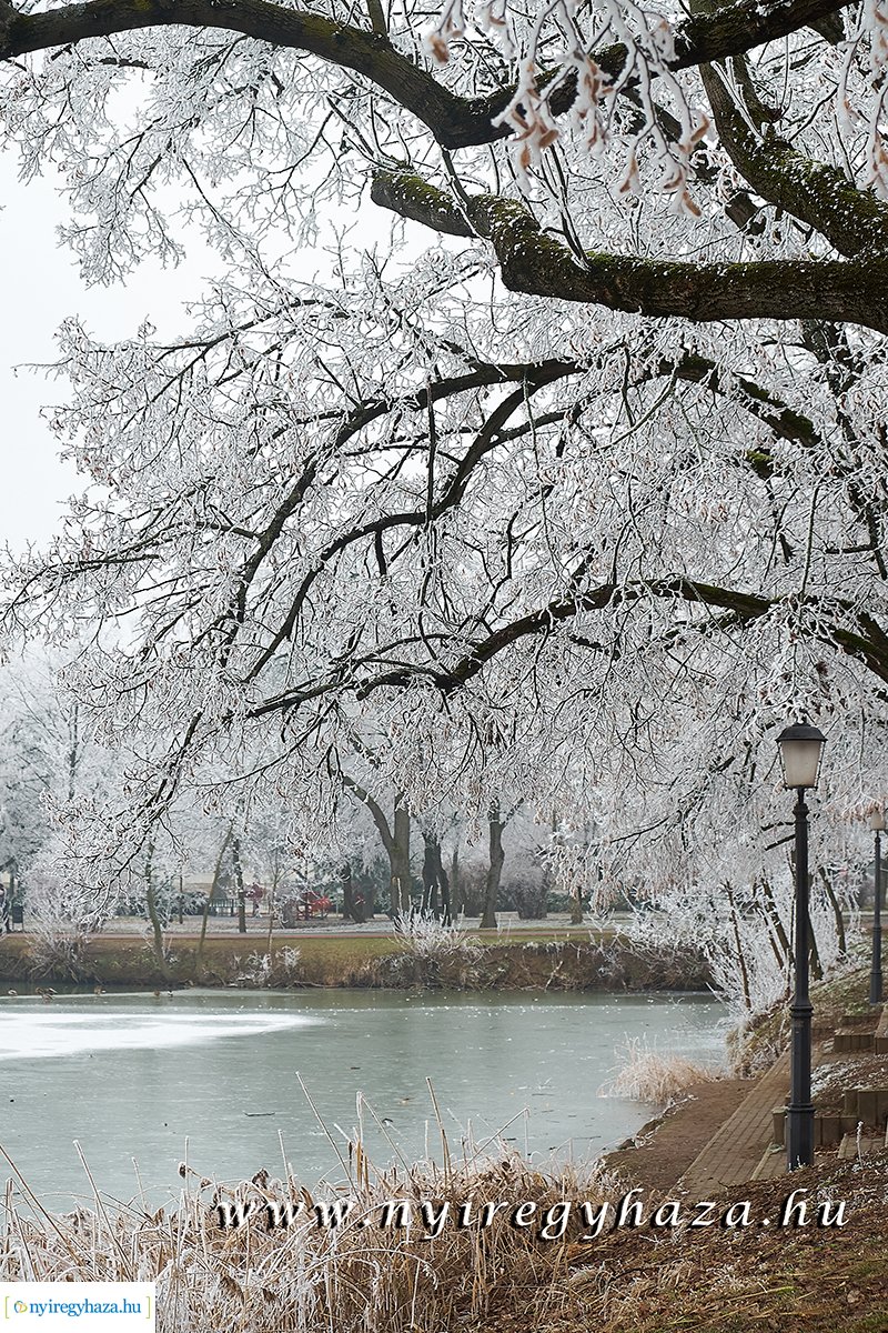 Sóstói csendélet - 20200119