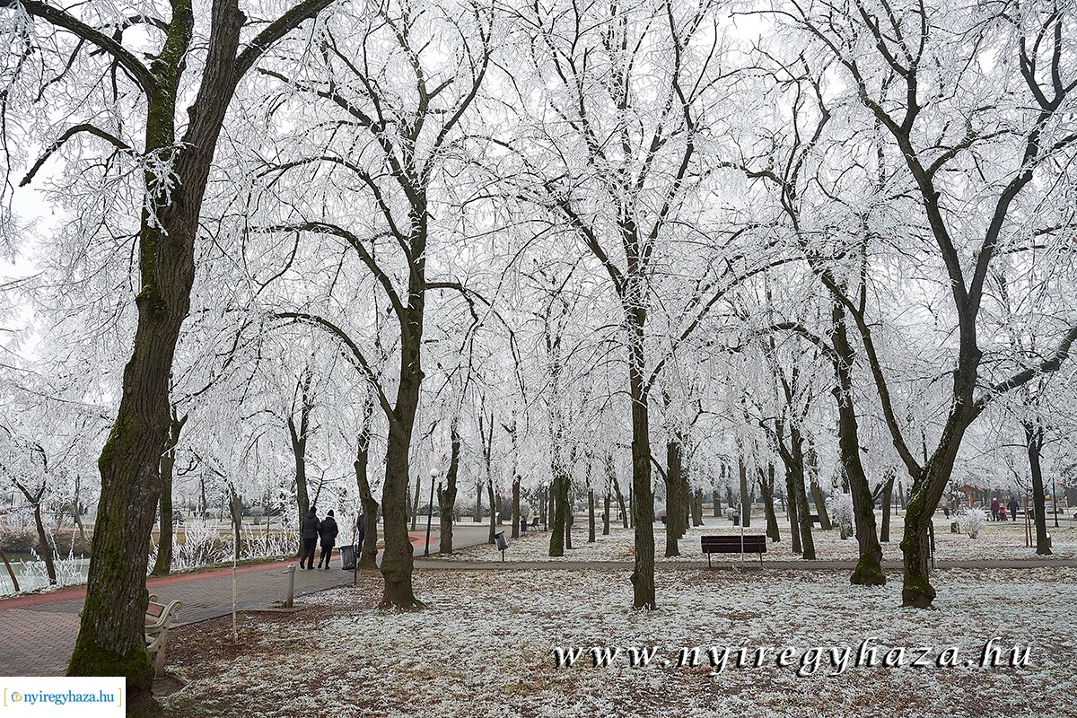 Sóstói csendélet - 20200119