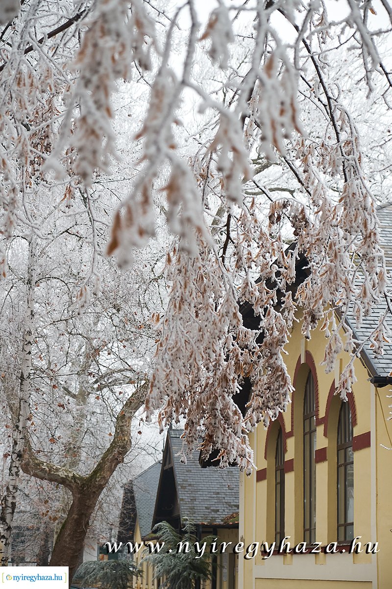 Sóstói csendélet - 20200119