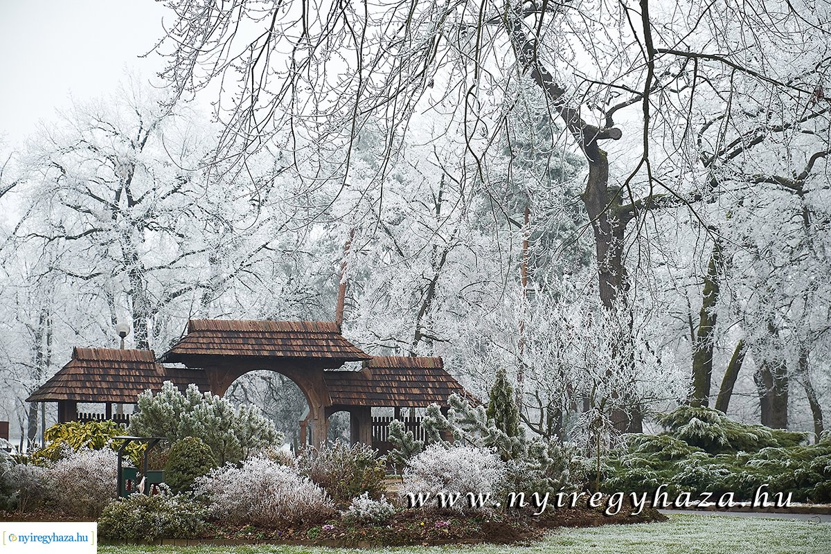 Sóstói csendélet - 20200119