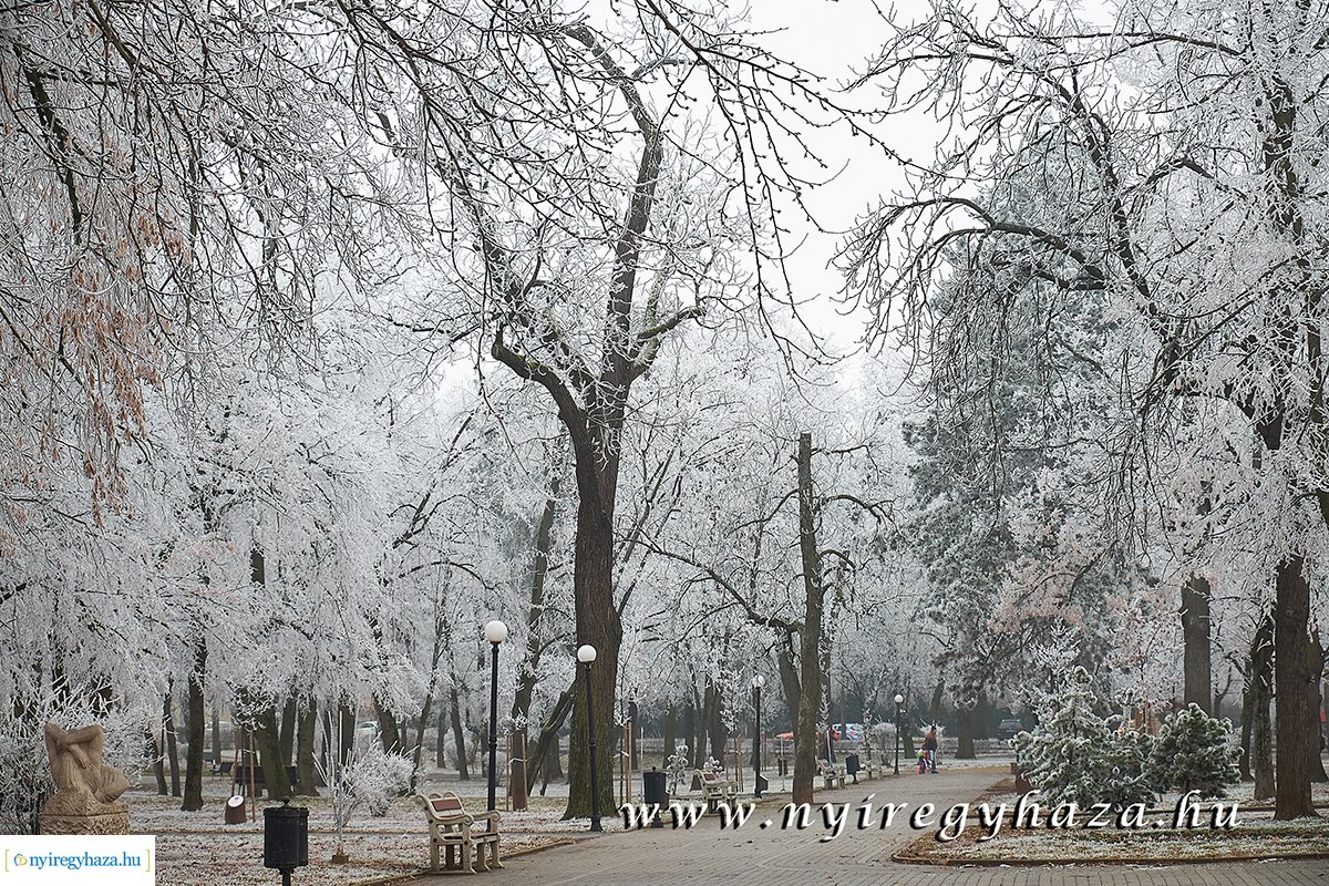 Sóstói csendélet - 20200119