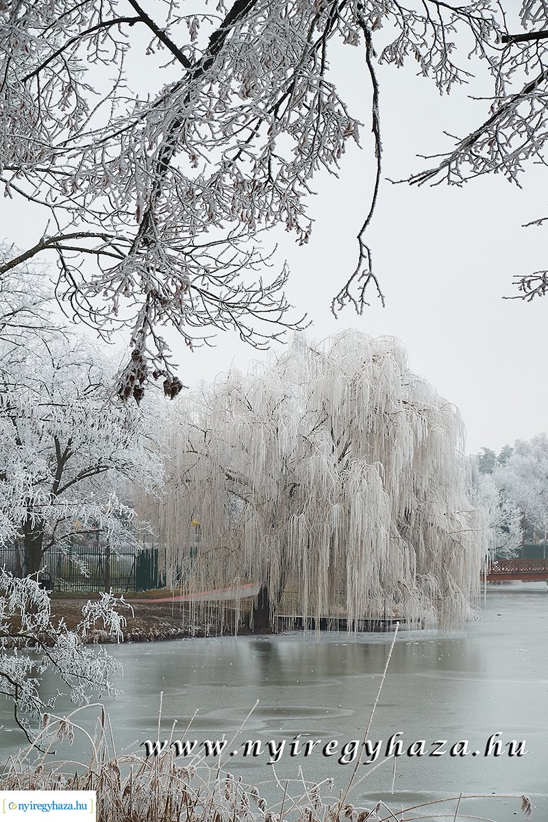 Sóstói csendélet - 20200119