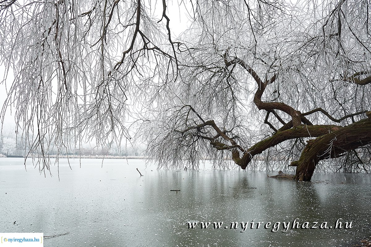 Sóstói csendélet - 20200119