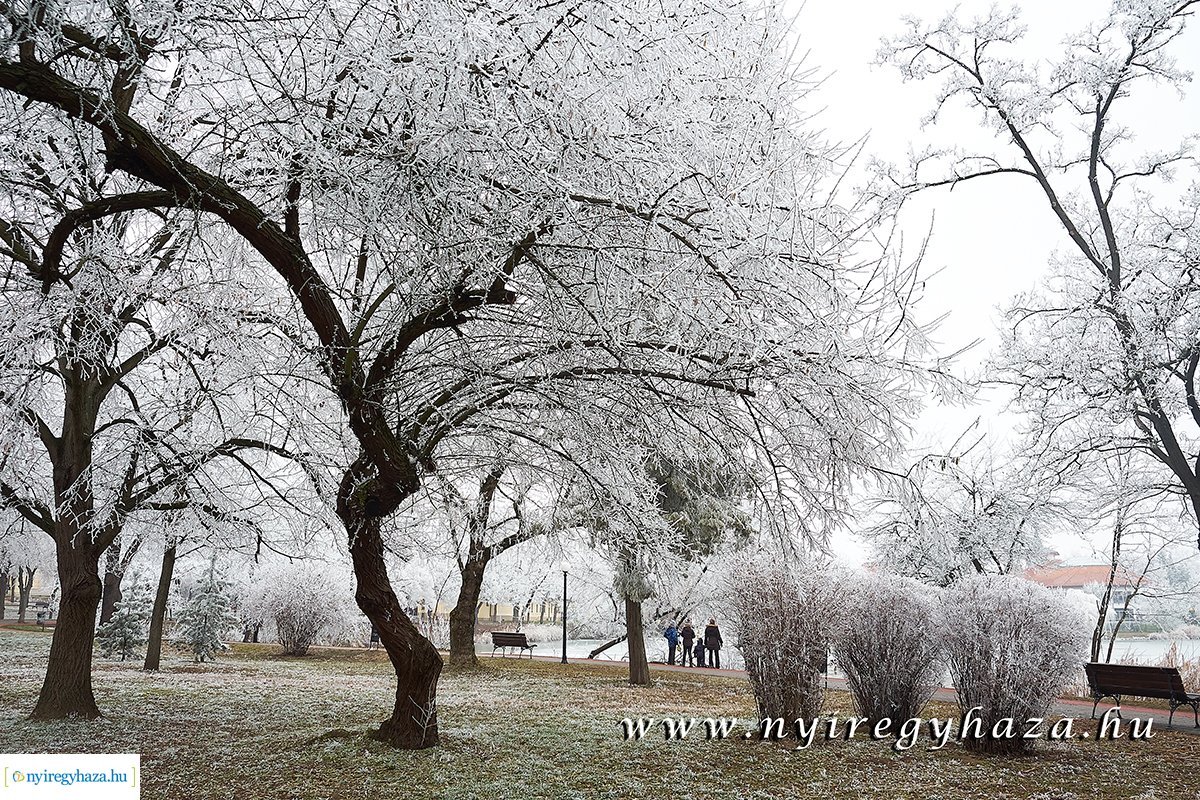 Sóstói csendélet - 20200119