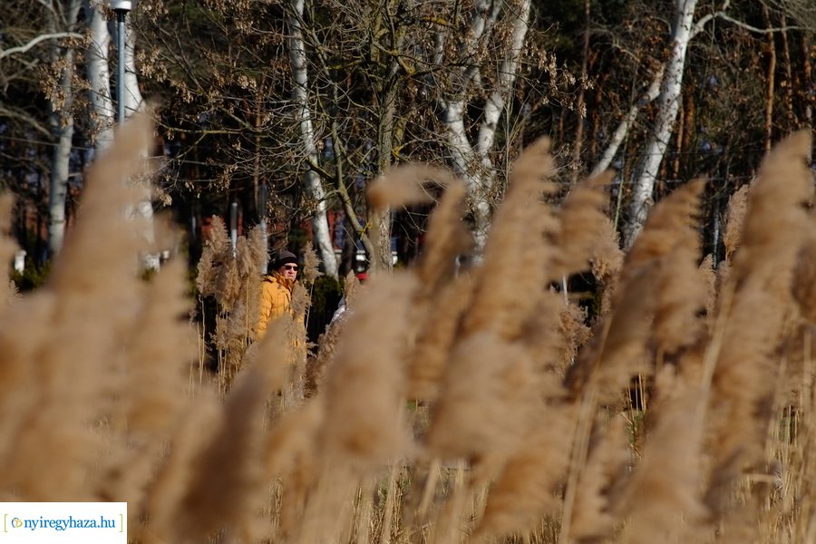 Sóstói csendélet 20230212