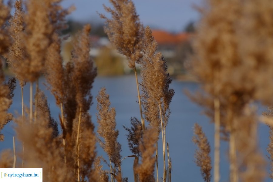 Sóstói csendélet 20230212