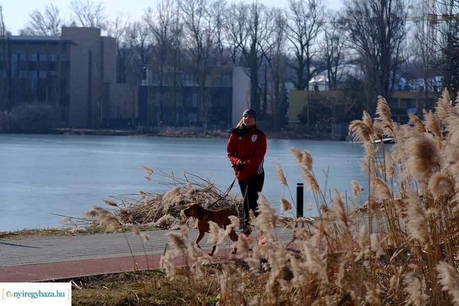 Sóstói csendélet 20230212