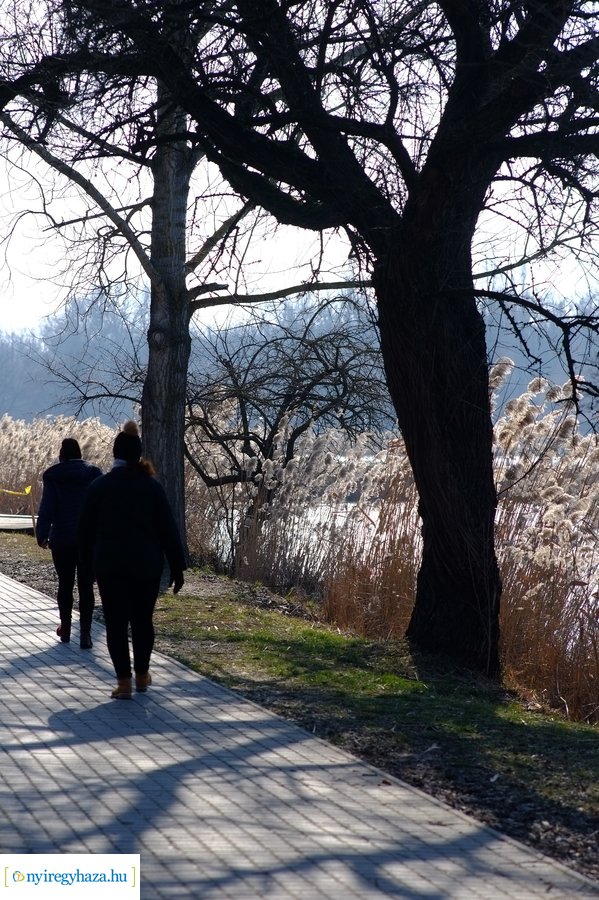 Sóstói csendélet 20230212