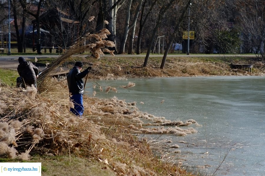 Sóstói csendélet 20230212