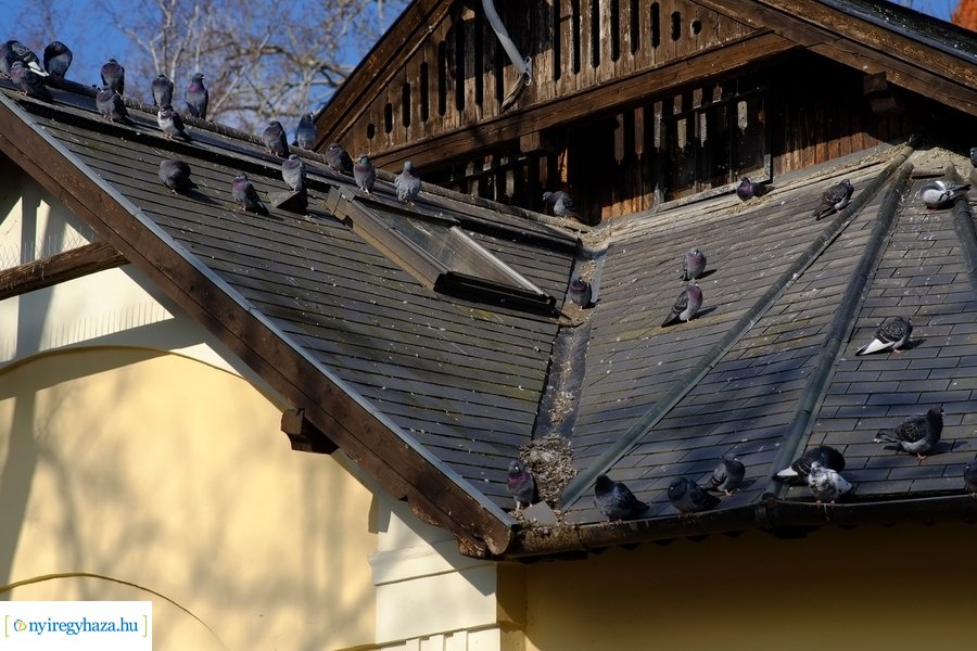 Sóstói csendélet 20230212