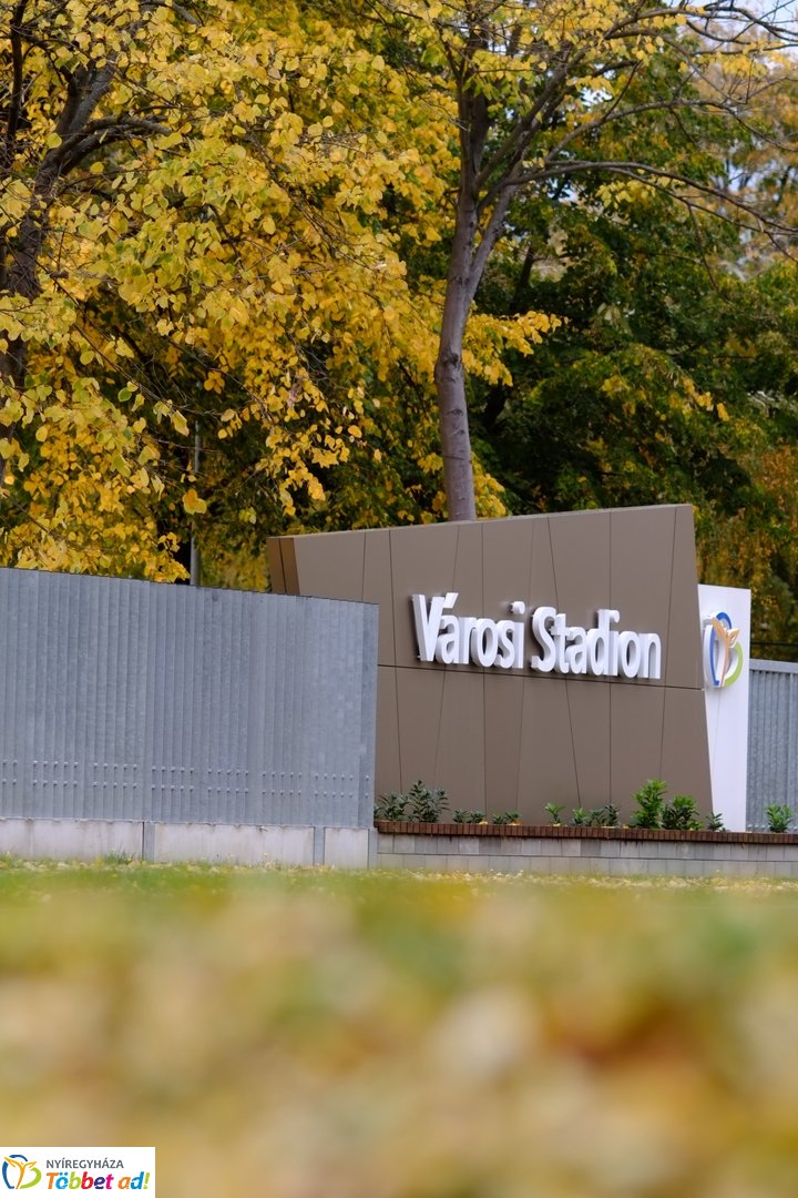 Sóstói erdő őszies arcai - 2025