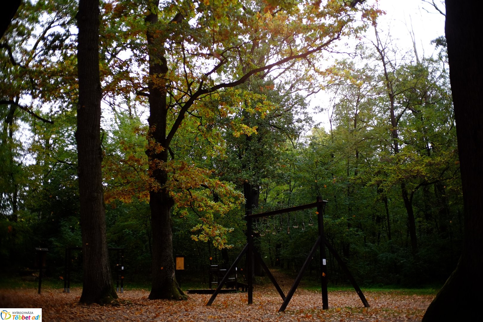 Sóstói erdő őszies arcai - 2025