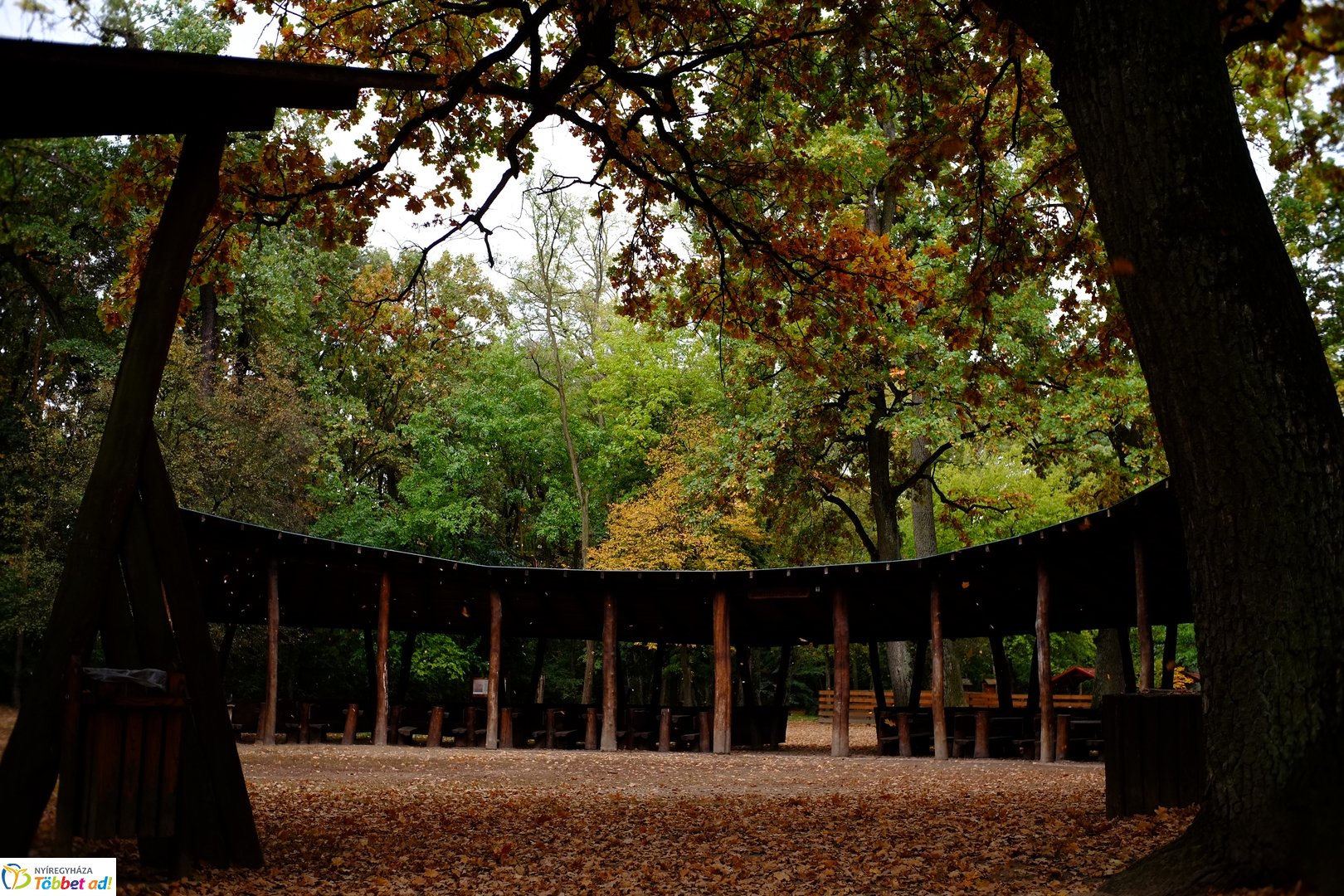 Sóstói erdő őszies arcai - 2025