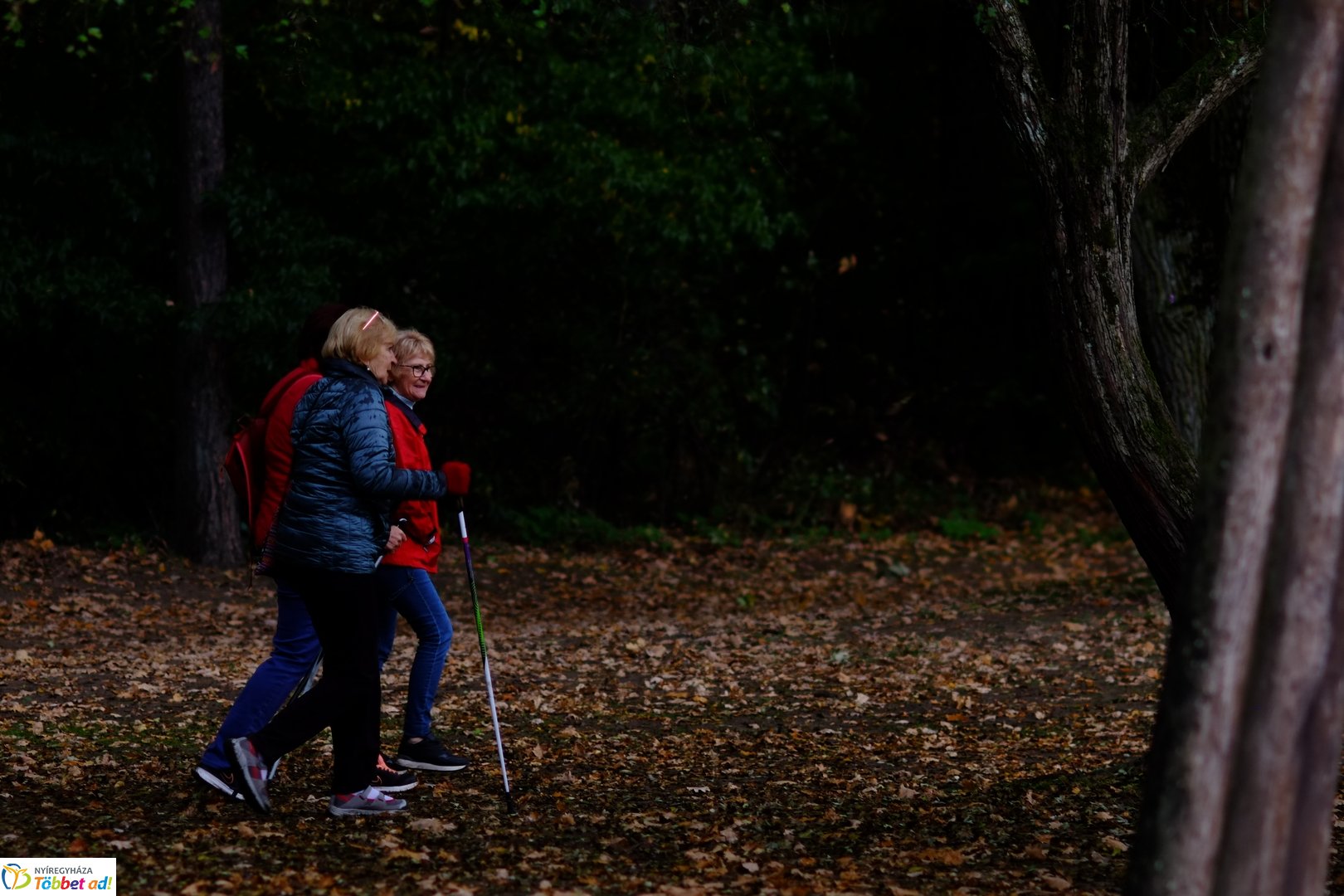 Sóstói erdő őszies arcai - 2025