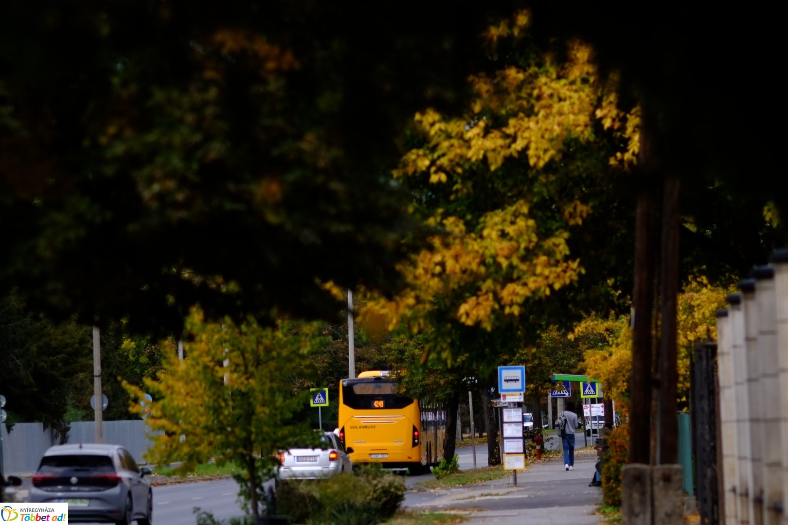 Sóstói erdő őszies arcai - 2025