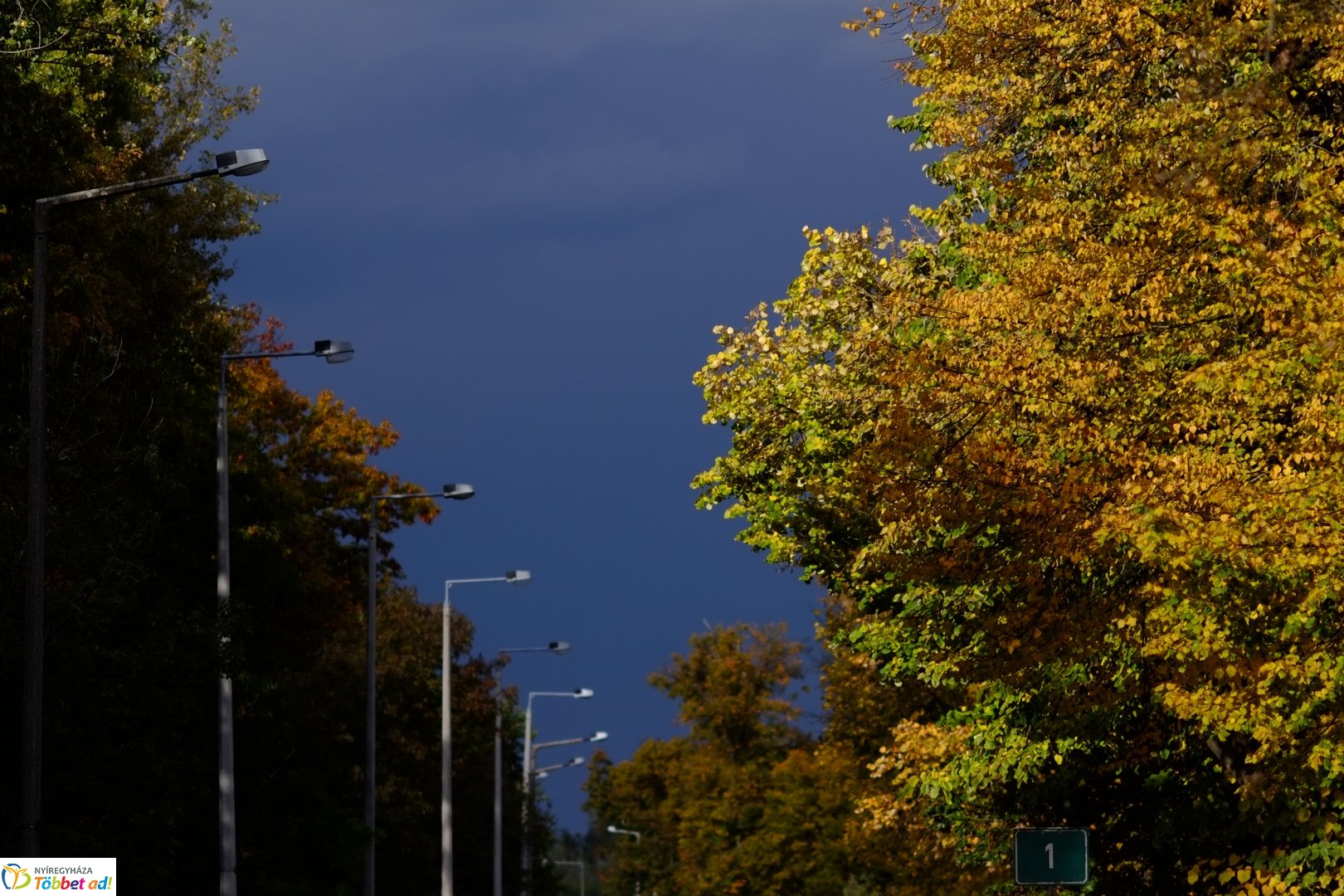 Sóstói erdő őszies arcai - 2025