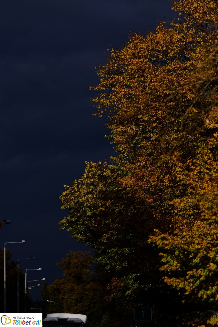 Sóstói erdő őszies arcai - 2025