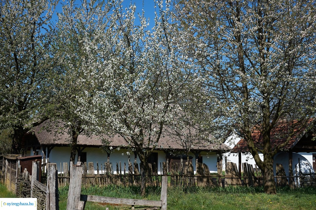 Sóstói Múzeumfalu 200416