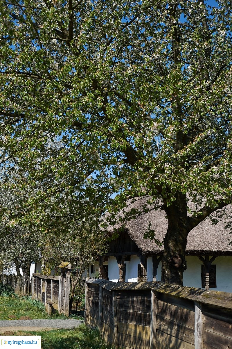 Sóstói Múzeumfalu 200416