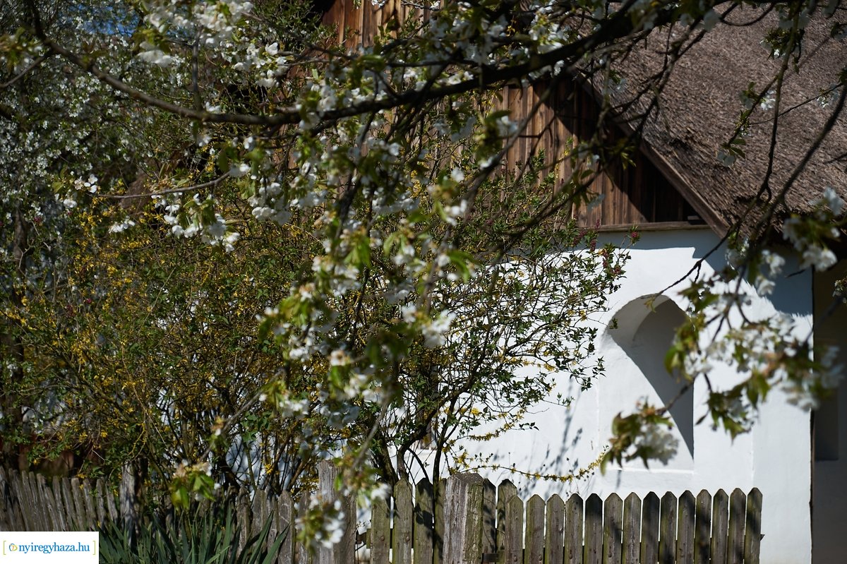 Sóstói Múzeumfalu 200416