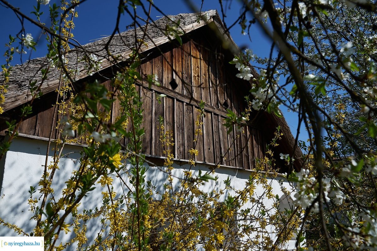 Sóstói Múzeumfalu 200416