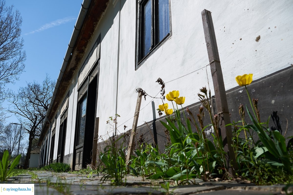 Sóstói Múzeumfalu 200416