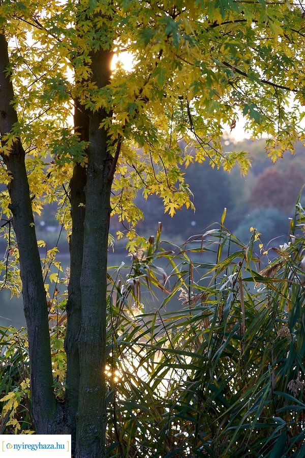 Sóstói ősz 20201028