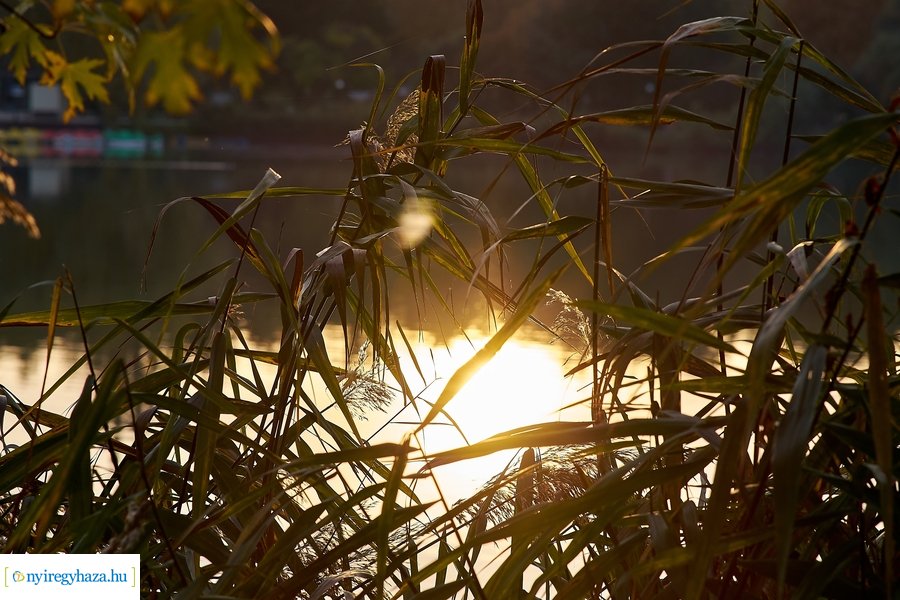 Sóstói ősz 20201028