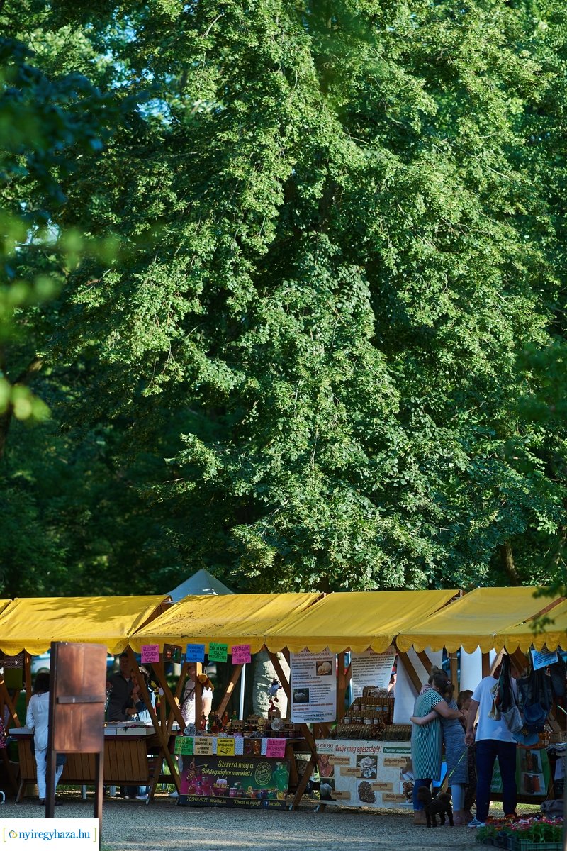 Sóstói Piac 20200619