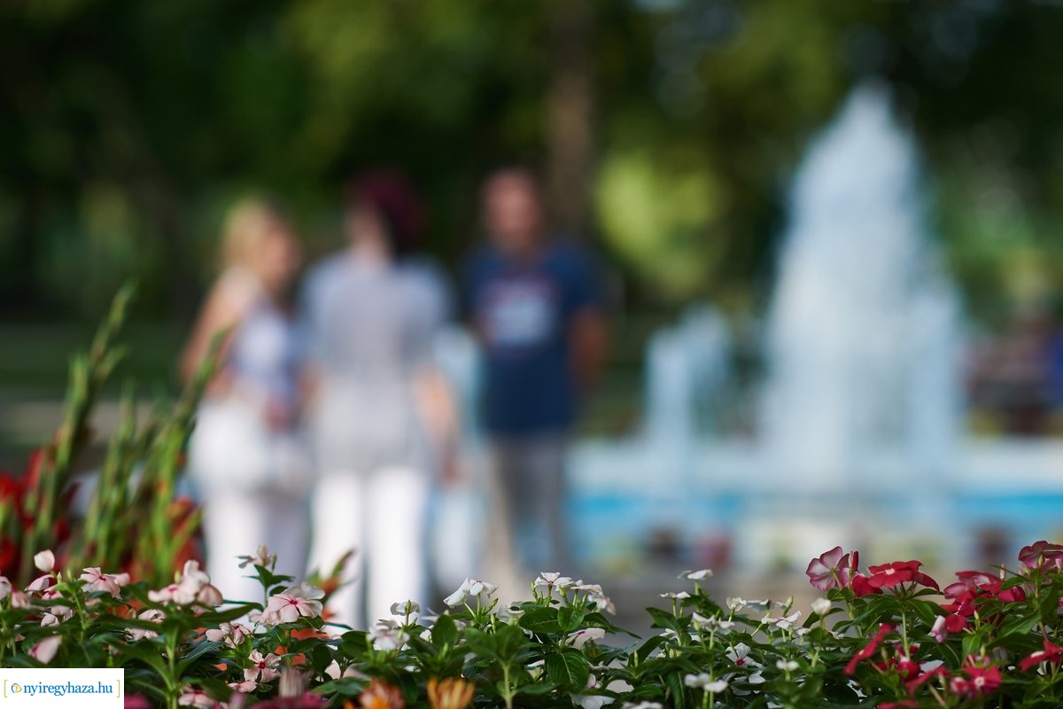 Sóstói Piac 20200619