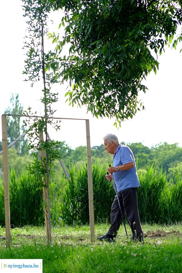 Sóstói pillanatképek 20210612