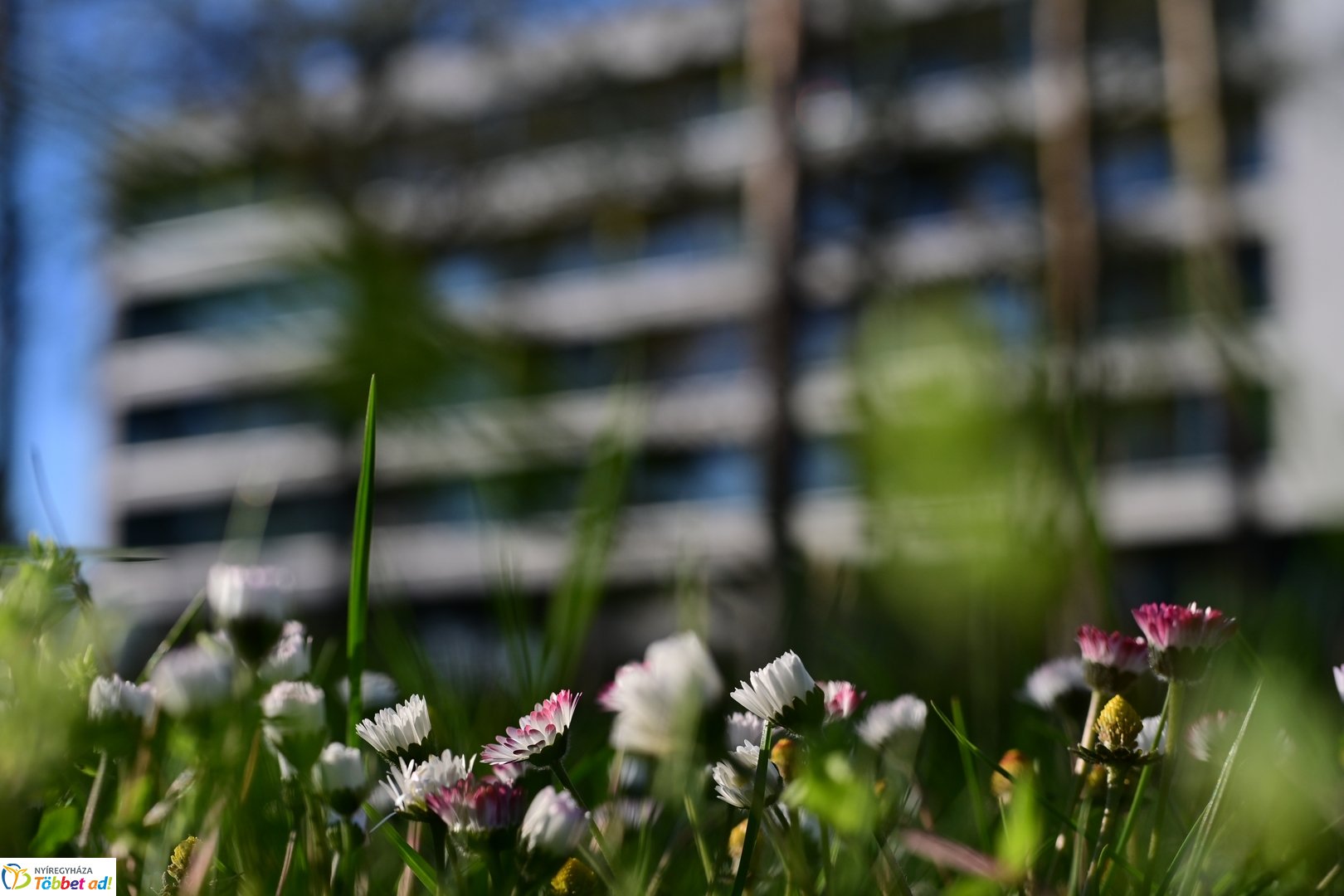 Sóstói pillanatképek Húsvétkor - 2026