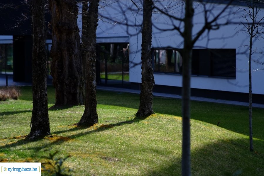 Sóstói pillanatok 20230317